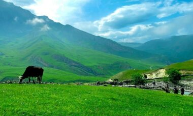 Azerbaijan: e-cigarette regulation, October 2024