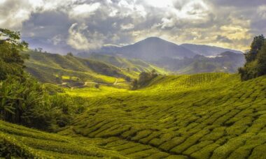 Malaysia: e-cigarette regulation, December 2024