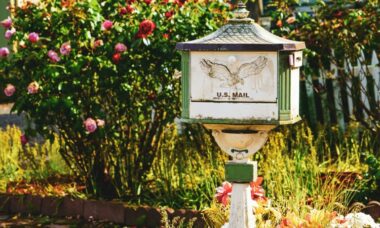 US FDA enforcement: an analysis of the warning letters issued in 2024