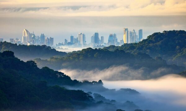 Panama: e-cigarette regulation, March 2025