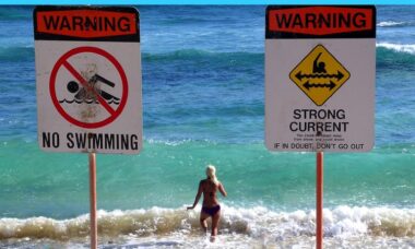 Could unintended consequences of Dutch flavour ban become main consequences?