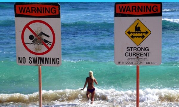 Could unintended consequences of Dutch flavour ban become main consequences?