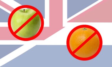 UK and Dutch data suggests flavour bans could alter vaping, not trigger smoking