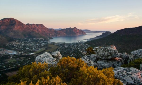 South Africa: e-cigarette regulation, July 2025